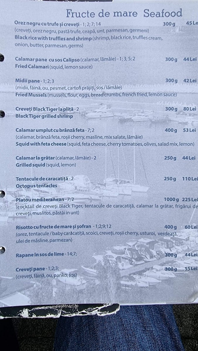 The Muse - Restaurant Menu - Image 5